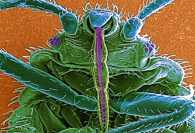 《使命召唤19》BETA公测将于8月中旬左右开始